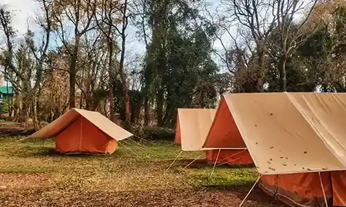 paragliding in bir billing